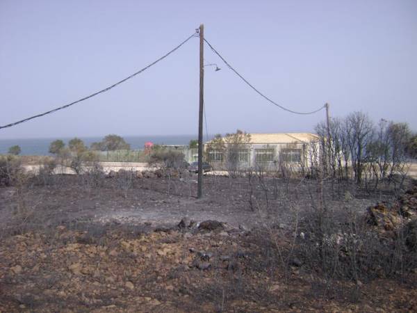 Φωτογραφίες από τις πυρκαγιές στην Κυπαρισσία και το καταστροφικό τους έργο