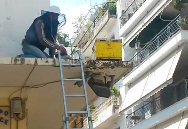 Σμήνος μελισσών αναστάτωσε το κέντρο της Καλαμάτας! (βίντεο)
