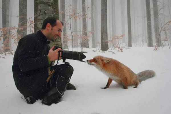 22 εικόνες που δείχνουν ότι οι φωτογράφοι της φύσης κάνουν το καλύτερο επάγγελμα! (φωτογραφίες)