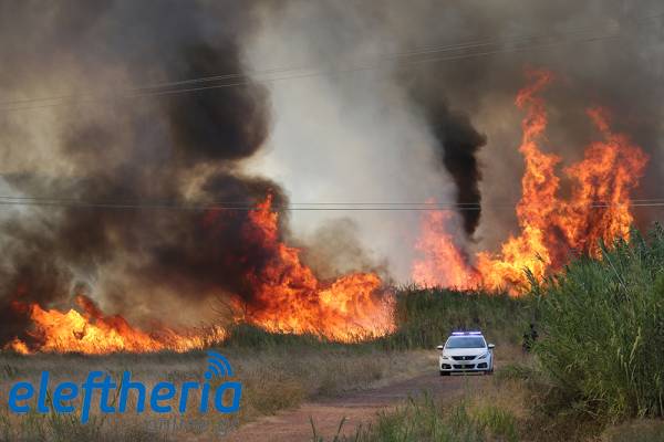 Μεσσηνία: Δύσκολες ώρες σε Ασπροπουλιά και Αριοχώρι - Κάηκαν 150 στρέμματα (βίντεο-φωτογραφίες)