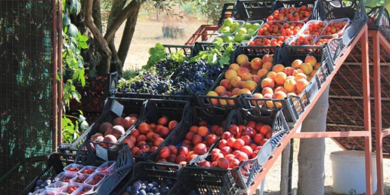 Σημαντικές οι δυνατότητες αύξησης των εξαγωγών ελληνικών φρούτων στη γερμανική αγορά