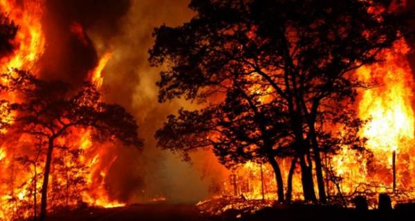 Το τελευταίο 24ωρο εκδηλώθηκαν 47 αγροτοδασικές φωτιές