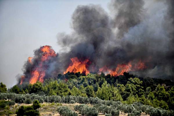 Ηλεία: Πυρκαγιές σε εξέλιξη σε Ωλένη και Πανόπουλο