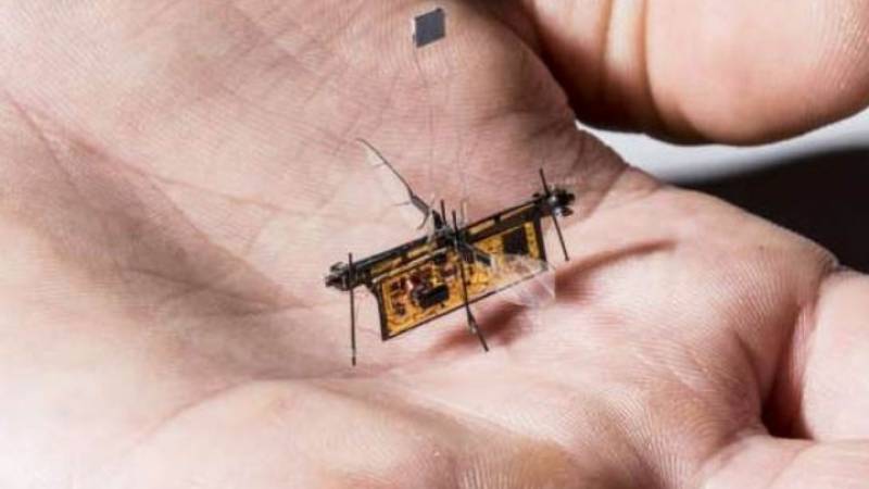 Πέταξε το πρώτο ασύρματο ρομποτικό έντομο (Βίντεο)