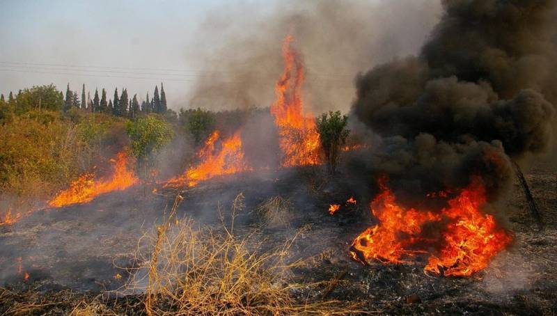 Πολύ υψηλός κίνδυνος πυρκαγιάς την Κυριακή σε περιοχές της Πελοποννήσου