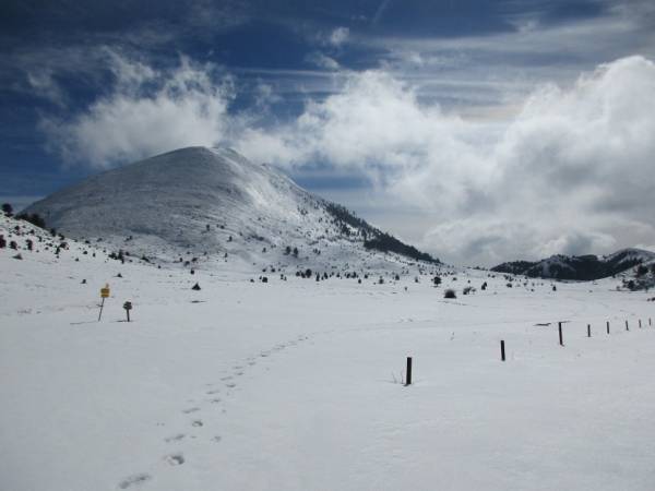 Εξόρμηση Ορειβατικού στον χιονισμένο Πάρνωνα