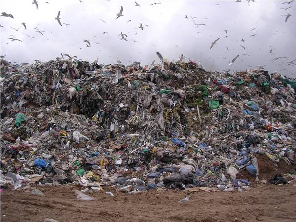 Κυβερνητική πρόταση για σκουπίδια ζητεί ο Νίκας