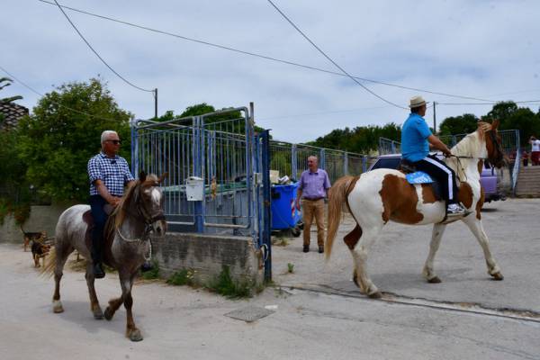 Ναύπλιο: Πήγαν να ψηφίσουν στις εκλογές καβάλα στα άλογα  (Βίντεο)