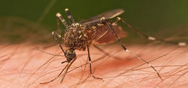 Ανοιξε ο δρόμος για σύμβαση καταπολέμησης των κουνουπιών