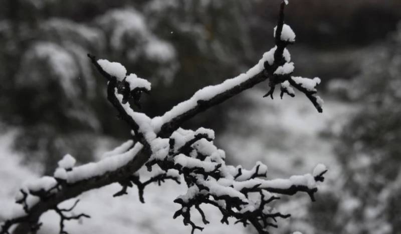 Καιρός: Παγετός τα ξημερώματα, -9,4 βαθμοί Κελσίου στη Βλάστη Κοζάνης