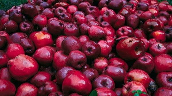 Κούβα: Εργαζόμενοι σε σουπερμάρκετ απολύθηκαν επειδή πούλησαν 15.000 μήλα σε έναν μόνο πελάτη