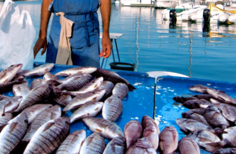 Κατάσχεσαν 170 κιλά ακατάλληλα ψάρια από πλανόδιους στον Πειραιά