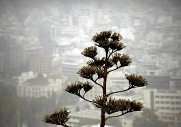 Εικόνα από δορυφόρο για το ταξίδι της αφρικάνικης σκόνης που έχει «πνίξει» την Ελλάδα - Πότε θα κοπάσει το φαινόμενο