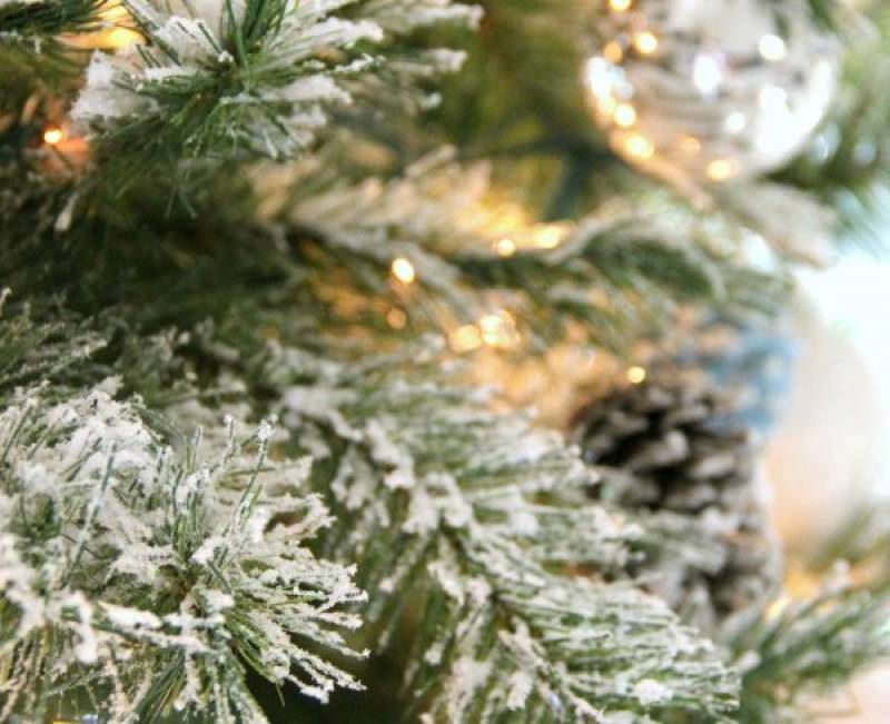 Χριστουγεννιάτικες εκδηλώσεις στο Δήμο Τριφυλίας