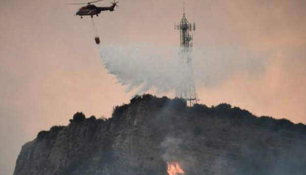 Μάχη με τις φλόγες στην Αμαλιάδα - Υπό έλεγχο η πυρκαγιά στη Δαφνιώτισσα (Βίντεο)