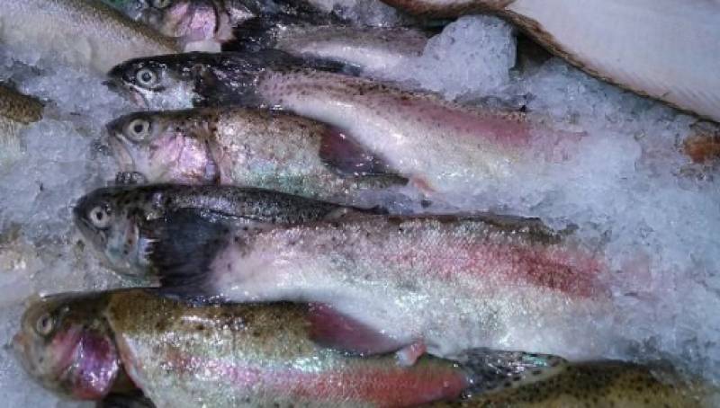 Κατασχέθηκαν 200 κιλά ακατάλληλα ψάρια από το Κερατσίνι