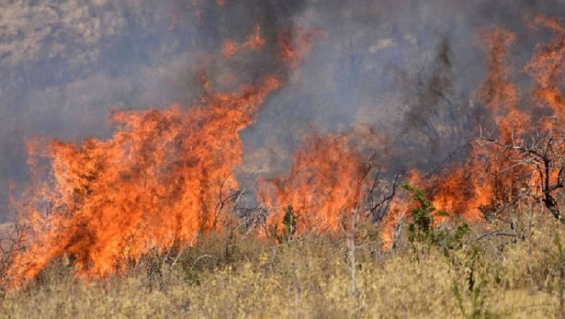 Θεσσαλονίκη: Πυρκαγιά στην περιοχή Μεταγκίτσι στη Σιθωνία Χαλκιδικής