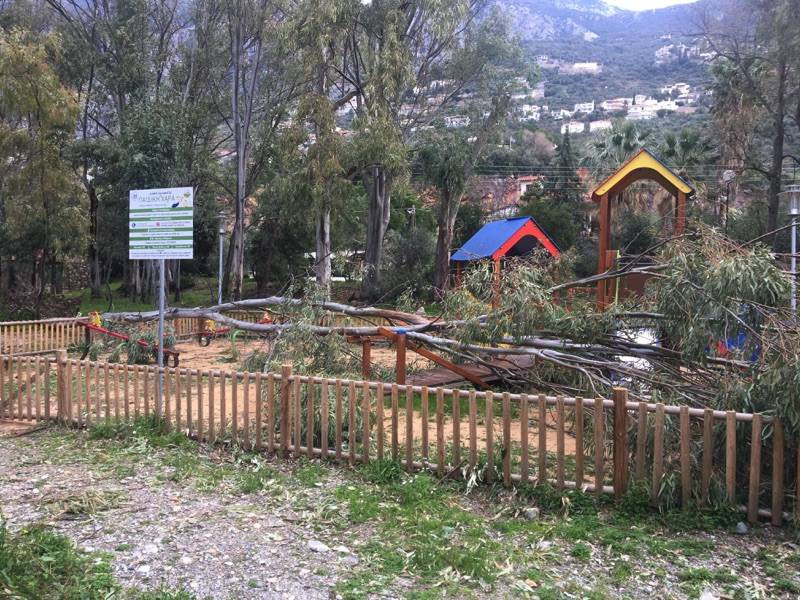 Καλαμάτα: Έπεσαν πολλά δένδρα στο πάρκο Αλμυρού (φωτογραφίες)