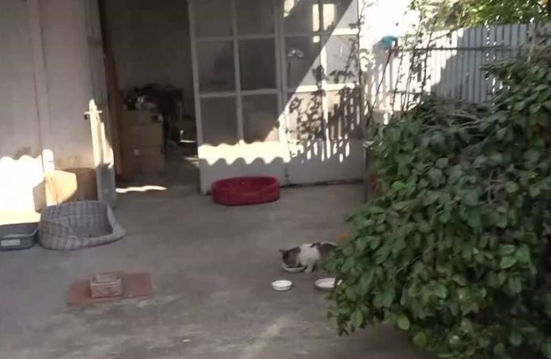 Μαρκόπουλο: Κουκουλοφόρος απείλησε γυναίκα με μαχαίρι μέσα στο σπίτι της (βίντεο)