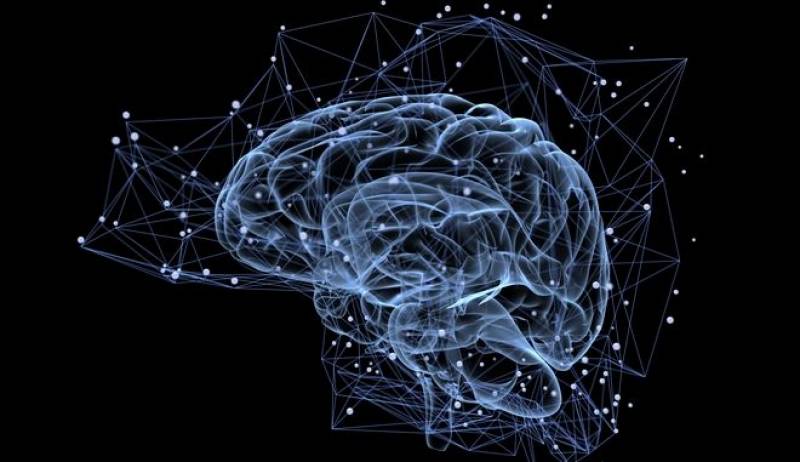 Επιστήμονες βελτίωσαν την μνήμη ηλικιωμένων μέσω διέγερσης του εγκεφάλου