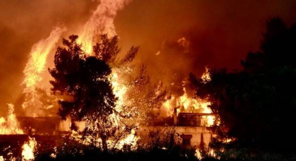 Κύμα αλληλεγγύης για τους πληγέντες στις πυρκαγιές της Αττικής
