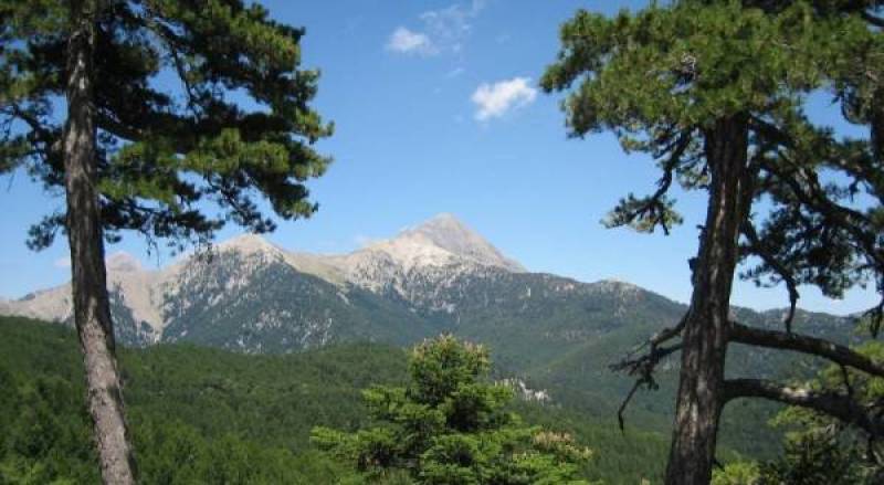 Ο Ταΰγετος ανάμεσα στα 8 “Απάτητα Βουνά” της Ελλάδας για υψηλή περιβαλλοντική προστασία