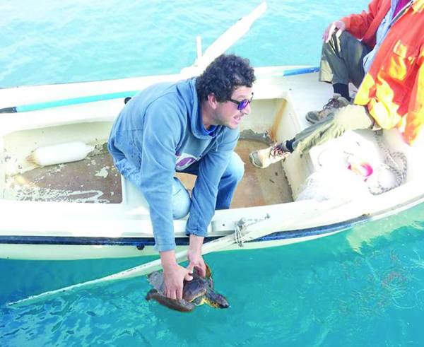 Διάσωση μικρής χελώνας κοντά στη Σαπιέντζα 