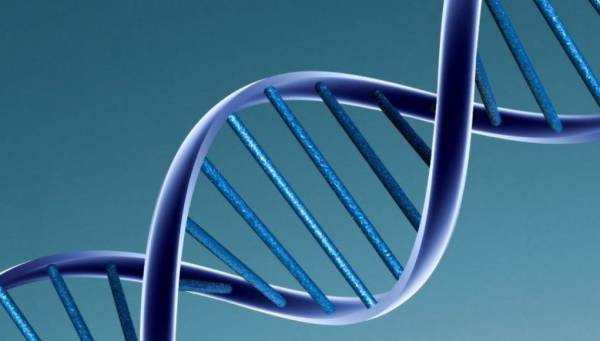 Έρευνα: Περισσότερα από 500 γονίδια συνδέονται με τη νοημοσύνη