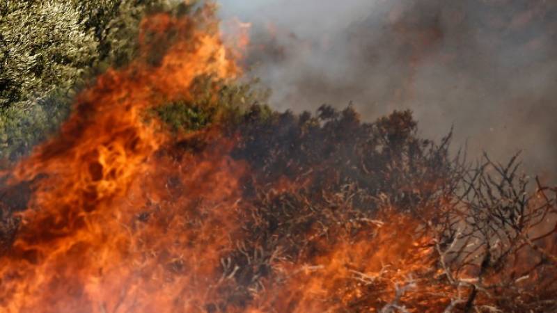 Ηλεία: Σε ύφεση η φωτιά - Περιορίστηκε σε χαράδρα