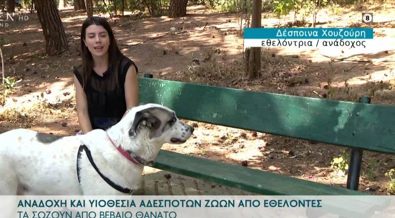 Αναδοχή και υιοθεσία αδέσποτων ζώων από εθελοντές (βίντεο)