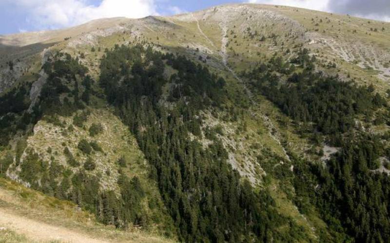 Ζάκυνθος: Μεγάλη επιχείρηση για να βρεθεί 73χρονος Βρετανός στο όρος Σκοπός