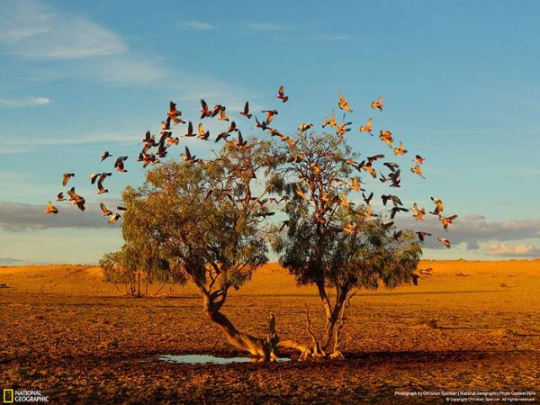 Διαγωνισμός φωτογραφίας National Geographic 2014