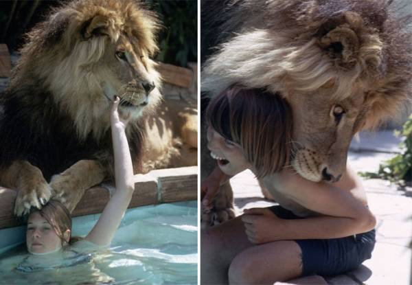 Αυτή η διάσημη οικογένεια ζούσε με ένα λιοντάρι το 1971 (φωτογραφίες)