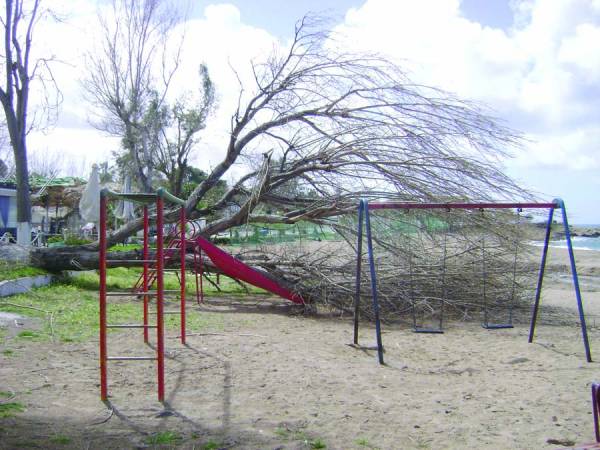 Δέντρο έπεσε σε παιδική χαρά στην Κυπαρισσία