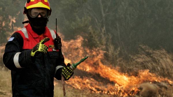 Πυρκαγιά στην Ηλεία - Καίει δάσος στη Φιγαλεία