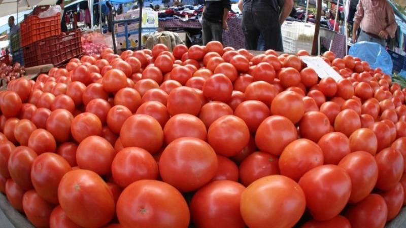 Κατασχέσεις 4,6 τόνων ντομάτας με υπολείμματα φυτοφαρμάκων