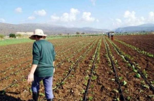 Υπουργείο Αγροτικής Ανάπτυξης: Έως τις 27 Οκτωβρίου η καταβολή της επιδότησης