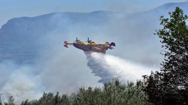 Χαλκιδική: Πτώσεις κεραυνών προκάλεσαν πυρκαγιές σε Σιθωνία και Κασσάνδρα