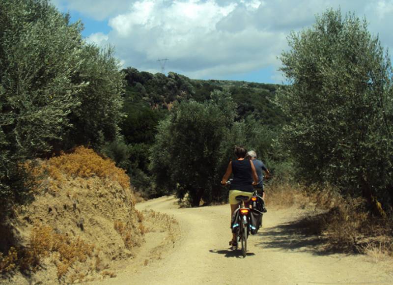 Ο ποδηλατικός τουρισμός στο Δήμο Μεσσήνης
