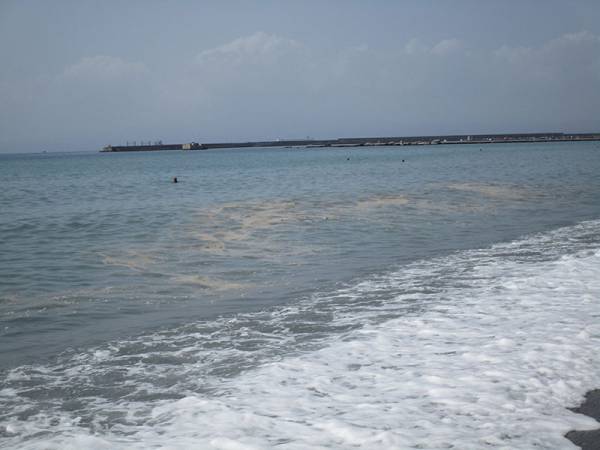 Φήμες και σενάρια για ρύπανση: Το φυτοπλαγκτόν άδειασε την παραλία της Καλαμάτας (βίντεο)