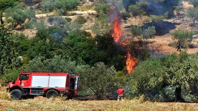 Θεσσαλονίκη: Υπό πλήρη έλεγχο η πυρκαγιά σε έκταση με ξερά χόρτα στο χωριό Λουδίας
