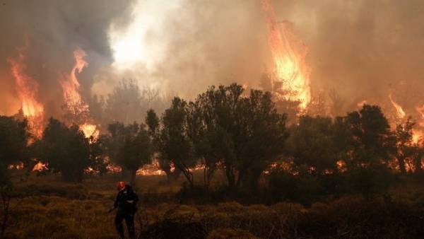 Βρετανία: Σειρά από πυρκαγιές λόγω του ασυνήθιστα ζεστού καιρού