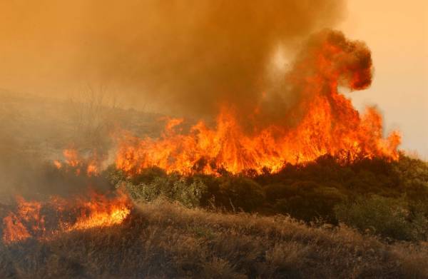 Υψηλός κίνδυνος πυρκαγιάς και αύριο στην Πελοπόννησο
