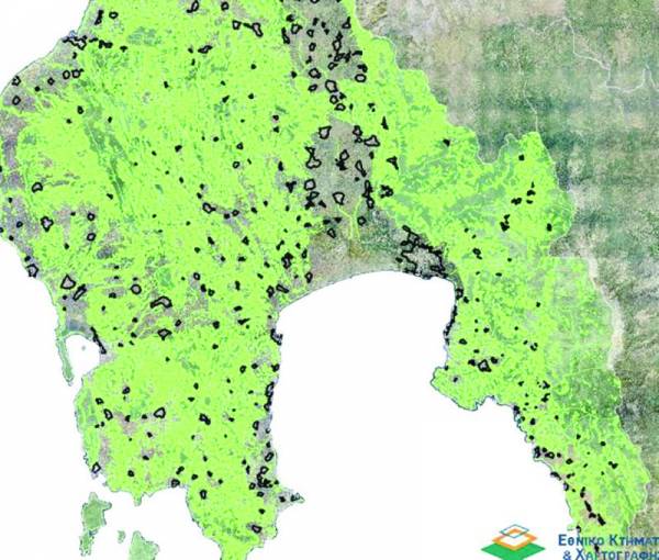 Πελοπόννησος: Αντιδρούν και βουλευτές του ΣΥΡΙΖΑ για τους δασικούς χάρτες