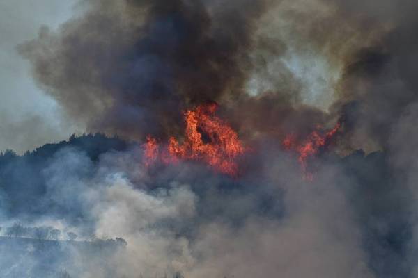 Ηλεία: Πυρκαγιά στην Παλαιορβάσαινα