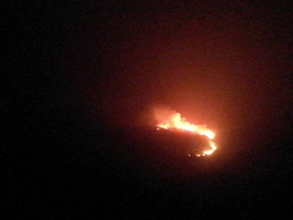 Μεσσηνία: 350 στρέμματα έκαψε η πυρκαγιά στο Κέντρο Αβίας