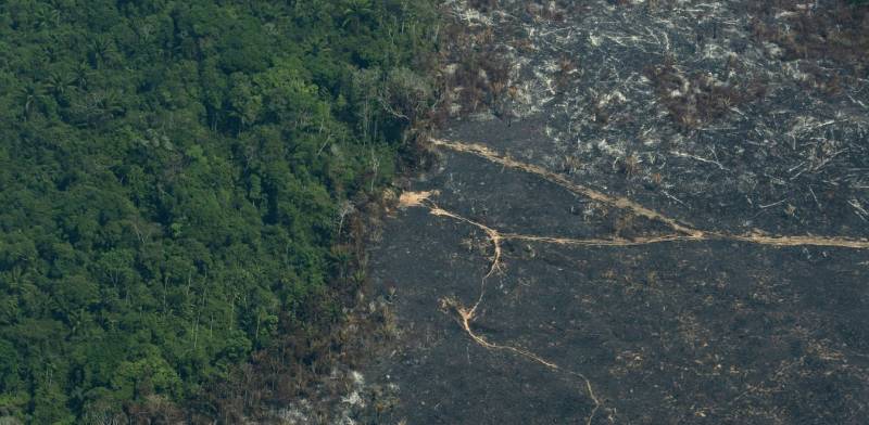 Εξαπλώνονται οι φωτιές στον Αμαζόνιο - Καταγράφηκαν 3.859 νέες εστίες