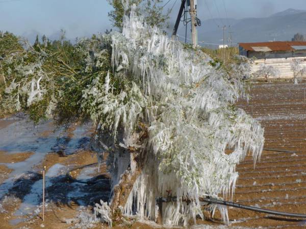 Μάχη με τον πάγο έδωσαν οι πατατοπαραγωγοί σε Καλαμάτα και Μεσσήνη (εντυπωσιακές φωτογραφίες)