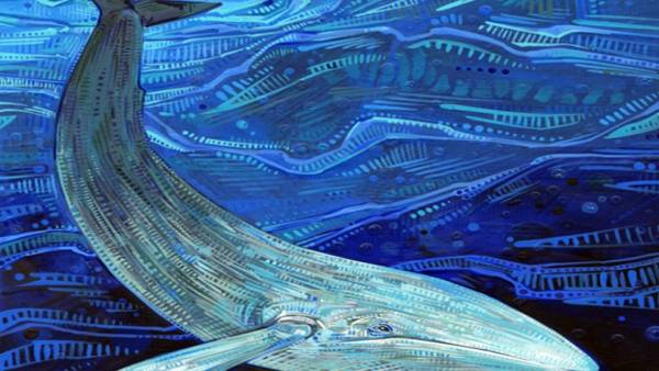 Παρέμβαση της εισαγγελέως του Αρείου Πάγου Ξ. Δημητρίου, για το διαδικτυακό παιχνίδι αυτοκτονίας «Μπλε Φάλαινα»