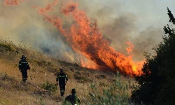 Πυρκαγιες σε εξέλιξη σε Αρκαδία και Αργολίδα